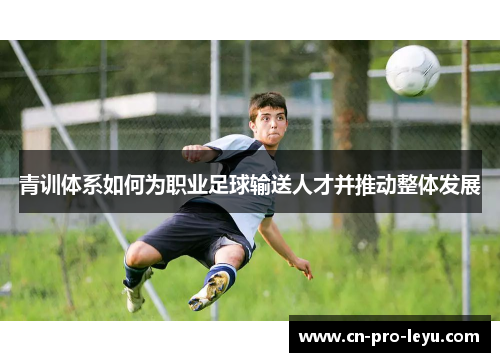 青训体系如何为职业足球输送人才并推动整体发展