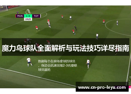 魔力鸟球队全面解析与玩法技巧详尽指南