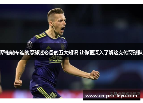 萨格勒布迪纳摩球迷必备的五大知识 让你更深入了解这支传奇球队
