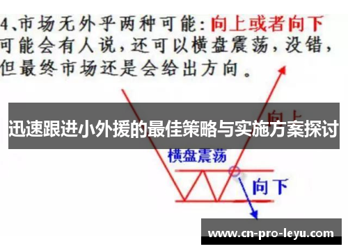 迅速跟进小外援的最佳策略与实施方案探讨