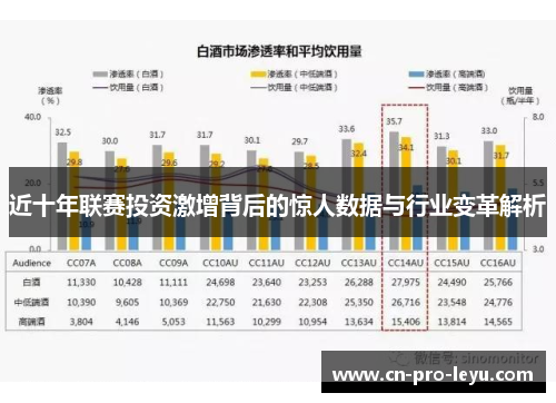 近十年联赛投资激增背后的惊人数据与行业变革解析