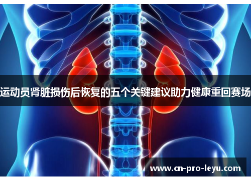 运动员肾脏损伤后恢复的五个关键建议助力健康重回赛场